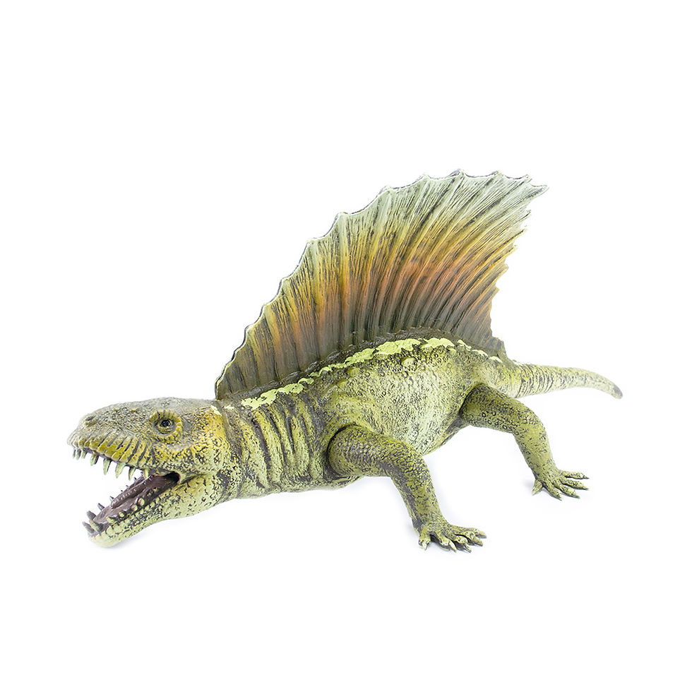 Miniatura: Dimetrodon - 806