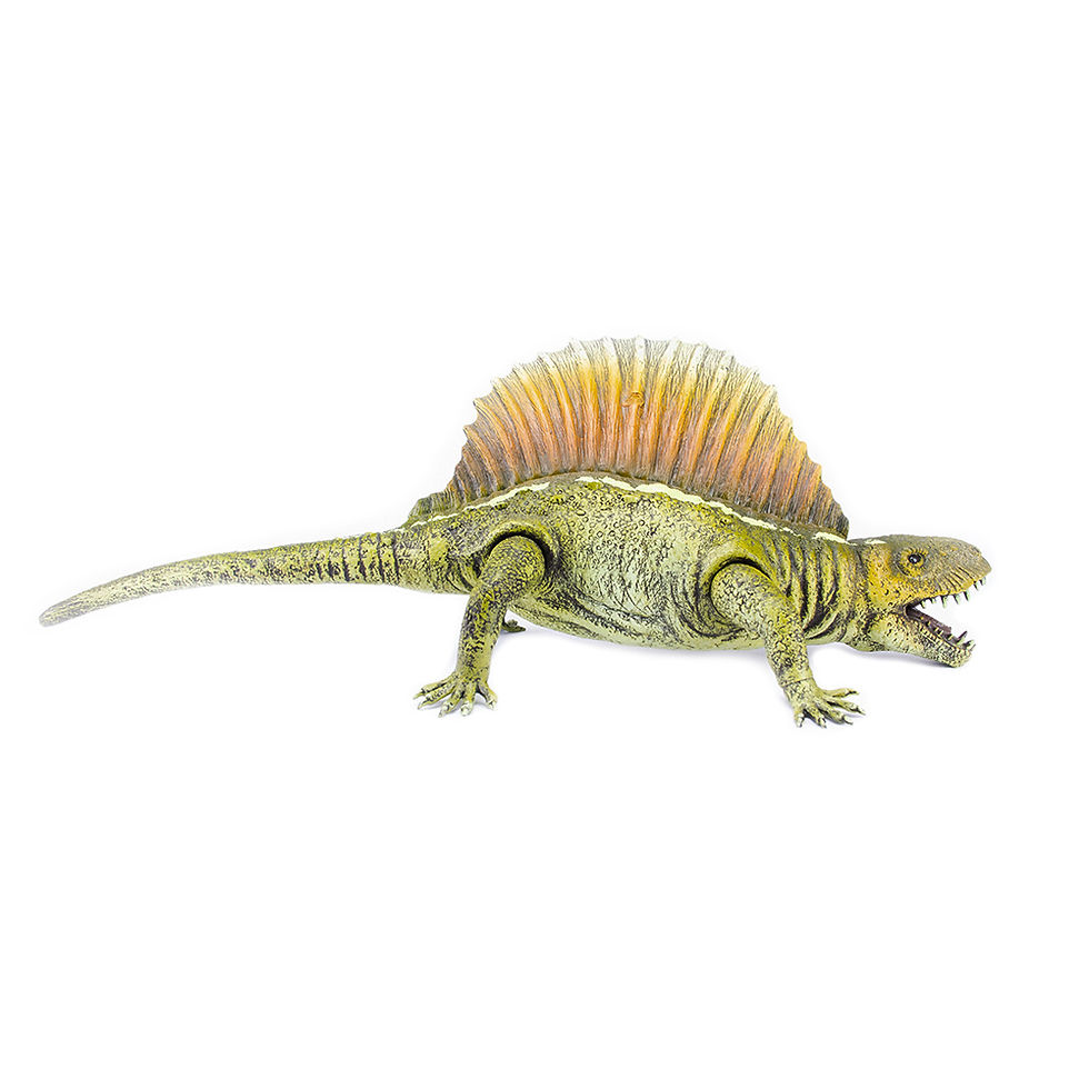 Miniatura: Dimetrodon - 806