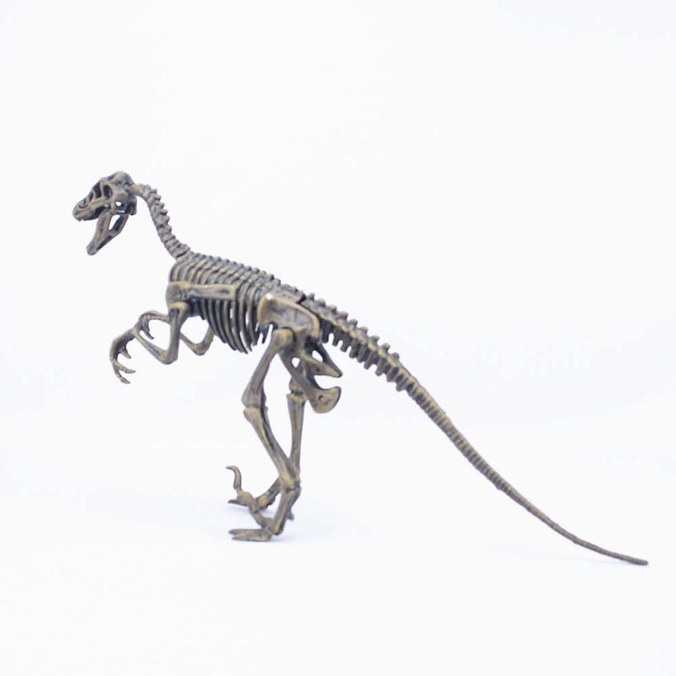 Miniatura: Set de armado Dinohuesos Velociraptor-875 de Dinomania, con 12 piezas para ensamblar, mostrando un modelo detallado y realist