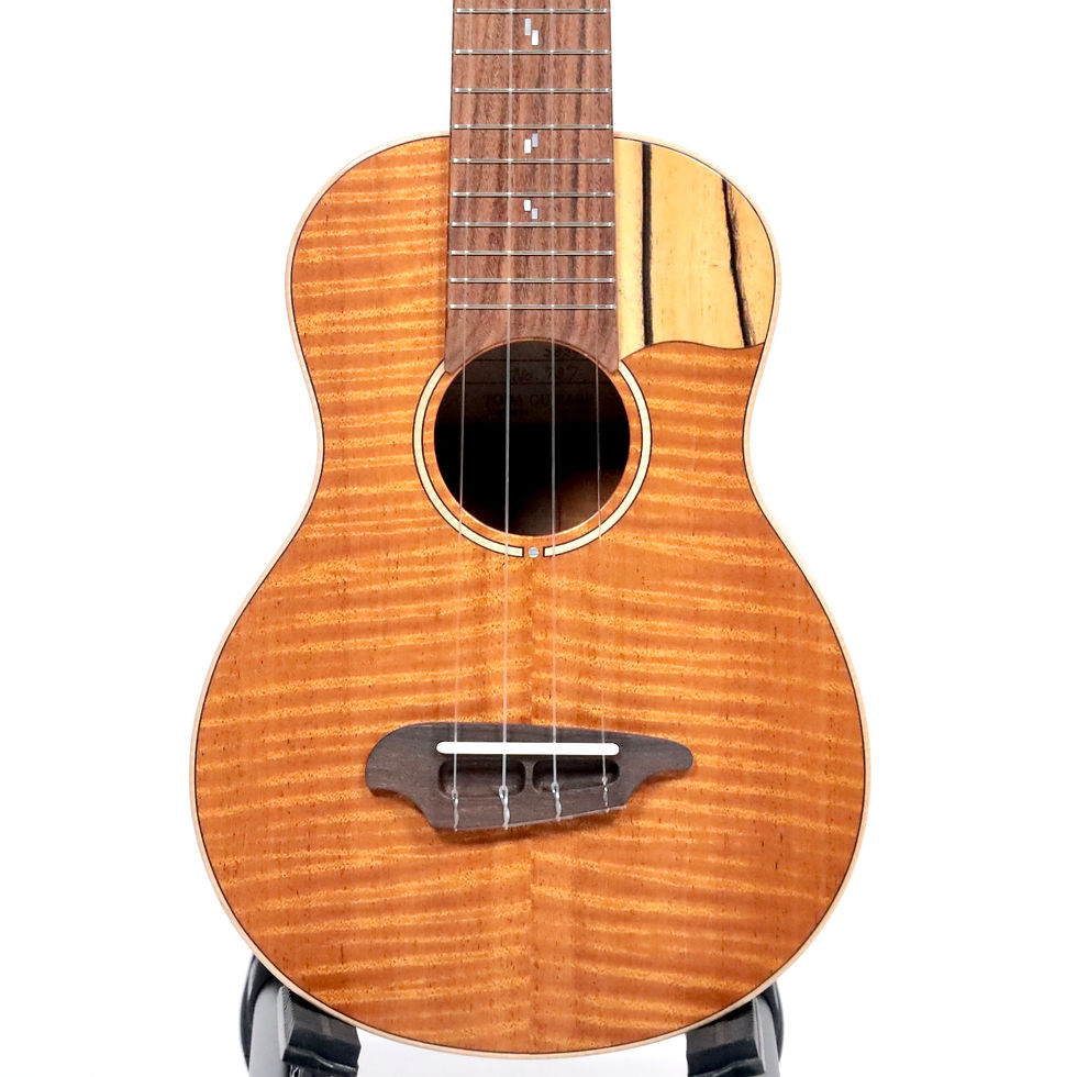 サムネイル： 【MINT】TODA Guitars VC Custom Concert (Fiddleback Mahogany)