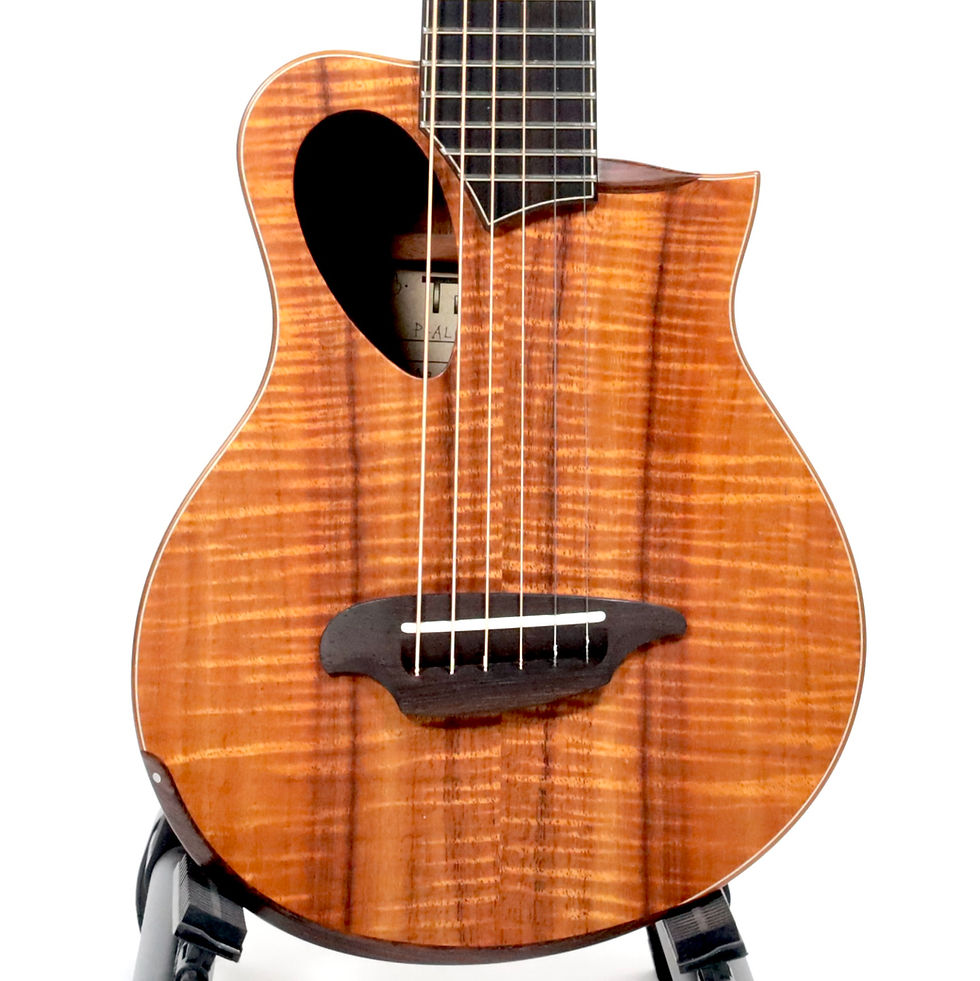 サムネイル： 【Mint】TODA Guitars P-Alien