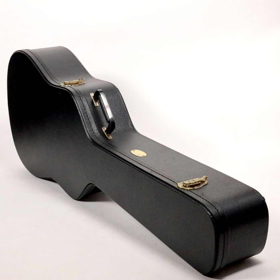 サムネイル： 【USED】C.F.Martin D-16GT 2011年製 50th Anniversary