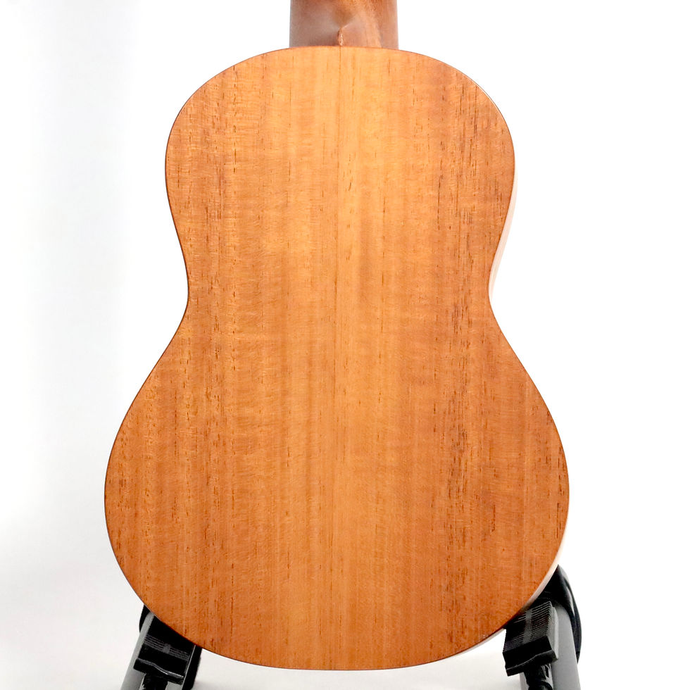 サムネイル： 【MINT】Lo Prinzi Ukuleles AM-C Concert Mahogany