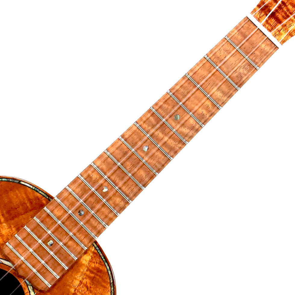 サムネイル： 【MINT】Palm Tree Ukuleles Concert Pineapple All Koa