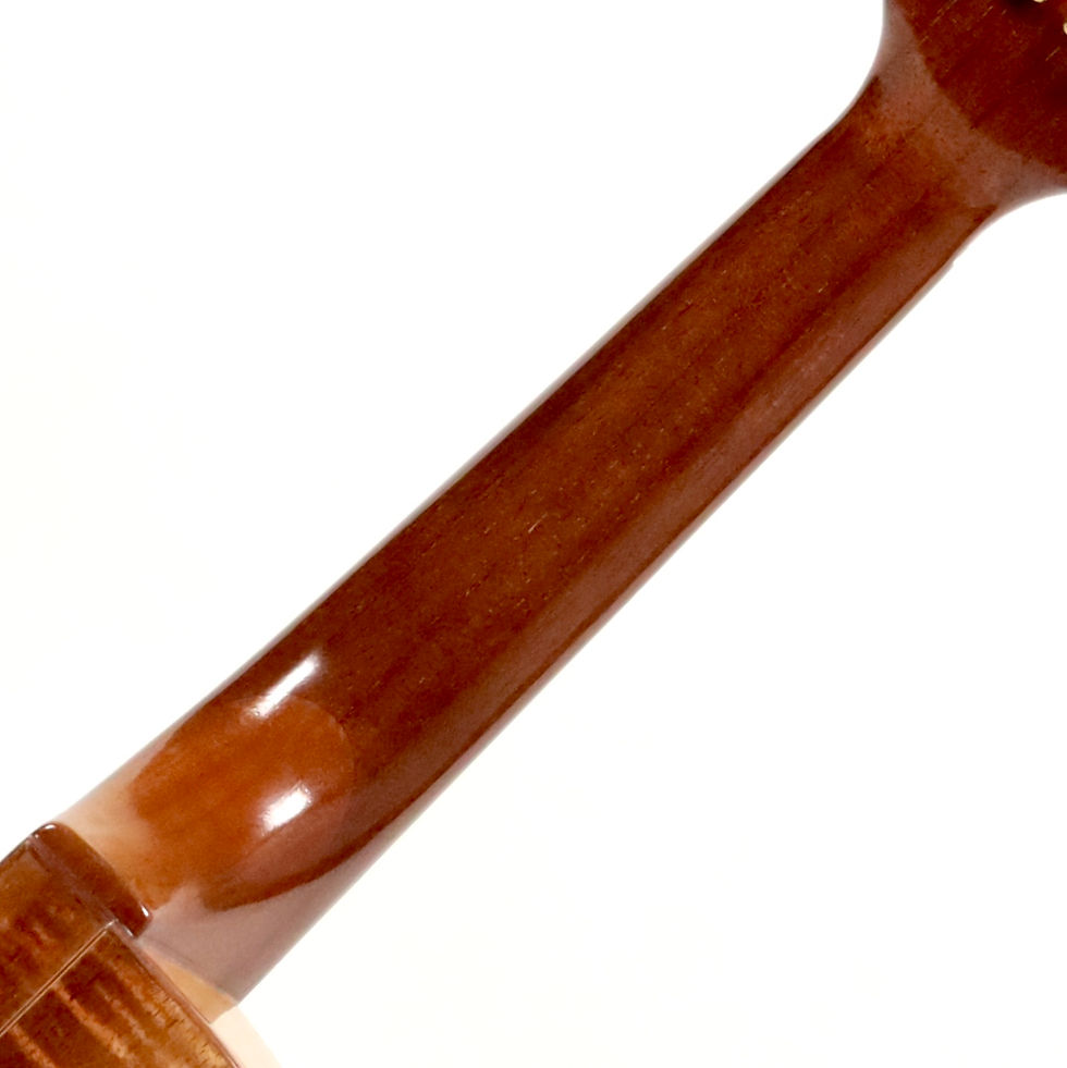 サムネイル： 【MINT】David Gomes  Concert Cutaway （Spruce/Koa）