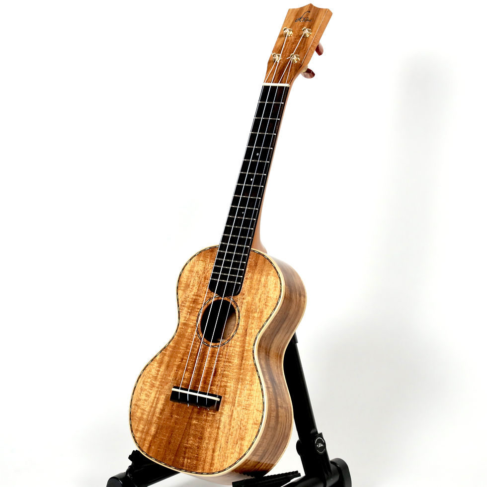 サムネイル： 【MINT】Soa Guitars UC-2K Rope Concert 2025年製