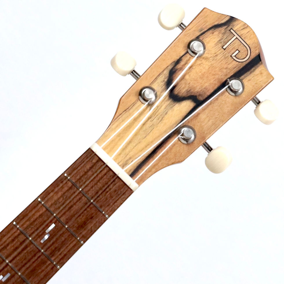 サムネイル： 【MINT】TODA Guitars VC Custom Concert (Fiddleback Mahogany)