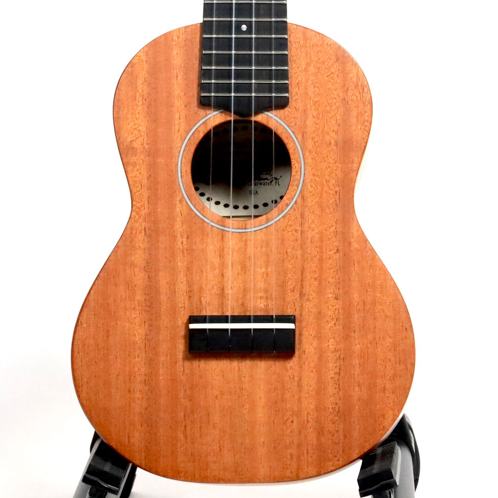 サムネイル： 【MINT】Lo Prinzi Ukuleles AM-C Concert Mahogany