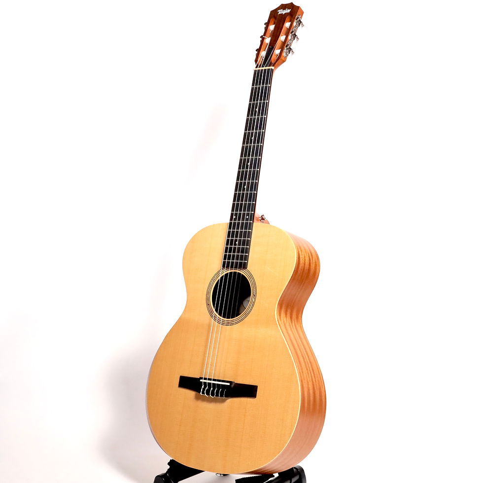 【MINT】Taylor Academy12-e Nylon 2021年製