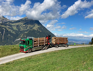 6b040e7b-7dd9-491e-99a4-042de0d260a4.jpg