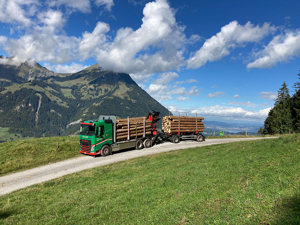 Transport