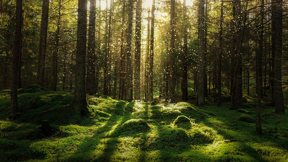 iStock-1082411378.jpg