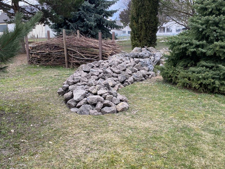 🦎💚Eidechsenburg im Schulgarten💚🦎