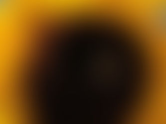 Unsere Homepage ist fertig!