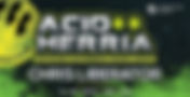 Acid Herria