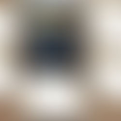 ✨Академічна чесність: наші здобутки✨