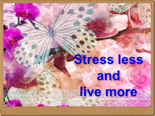 Stress Less