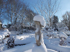 Le parc d'Aurélie et son manteau de neige.