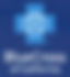 Blue_Cross_Logo.jpeg