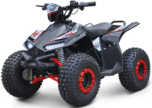 Renegade Ranger 1200w 48v 20Ah Electric Kids Quad Bike Moto
