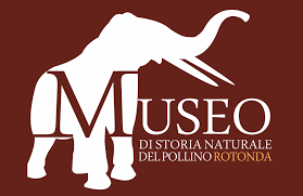 7/12 Ottobre | Sculture e Pipe | Rotonda