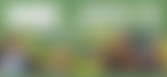 10 Ottobre | Giornata del Camminare | Rossano