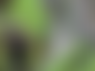 19 Settembe | Escursione | Grotta del Romito