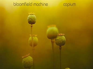 Experience music getting reinvented with Bloomfield Machine's latest album "Copium"!