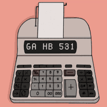 georgias-hb531-georgiarechner.gif