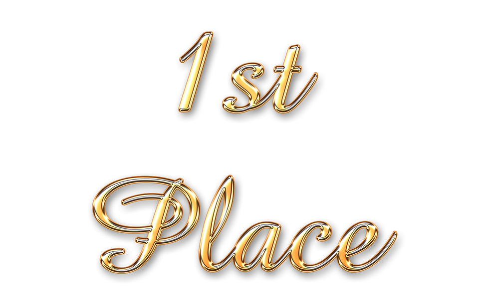 bestequallithedigitalartist-winner-7861160.png