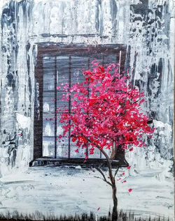 Weathered Window
