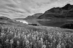 _DSC5299