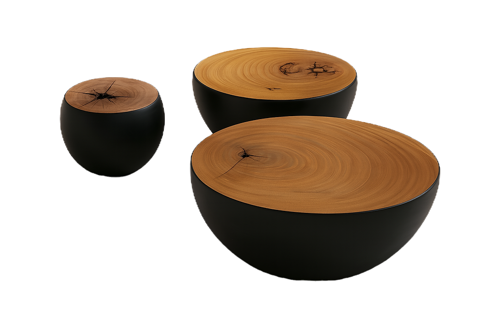 trio nero by arbo art studio_edited.png