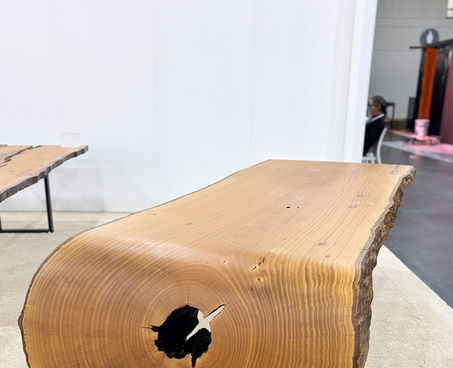 mesa curva arboreal na icff 2025