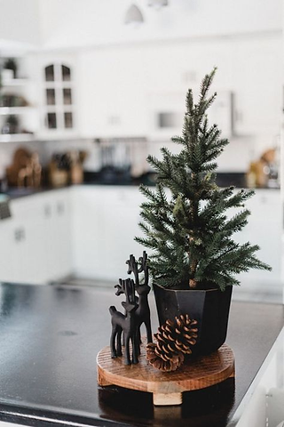arvore de natal natural