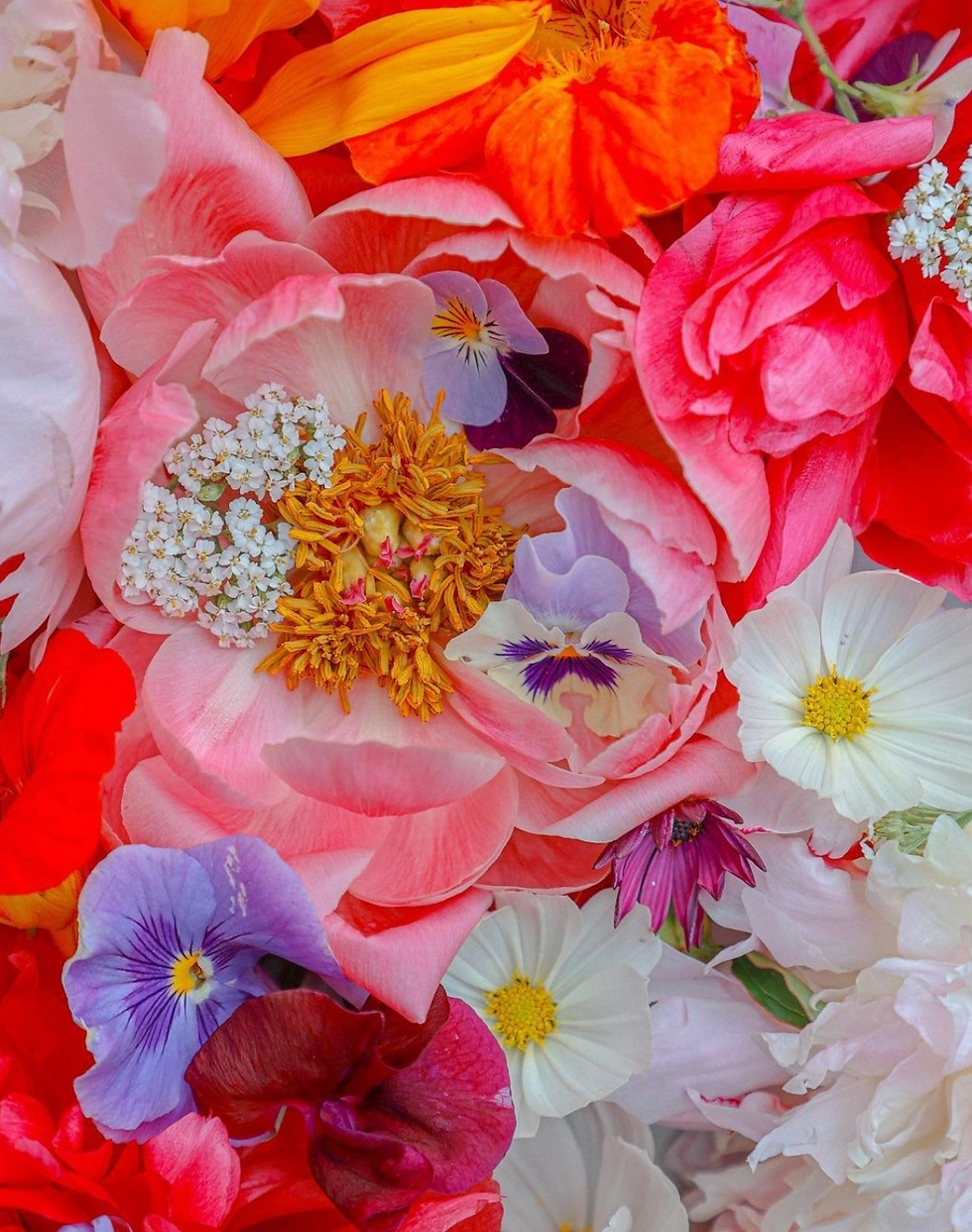 Current Air Floral Inspiration Spring 2023