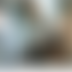 Breaking the Binary: How Gen Z Is Redefining Personal Taste in Fashion