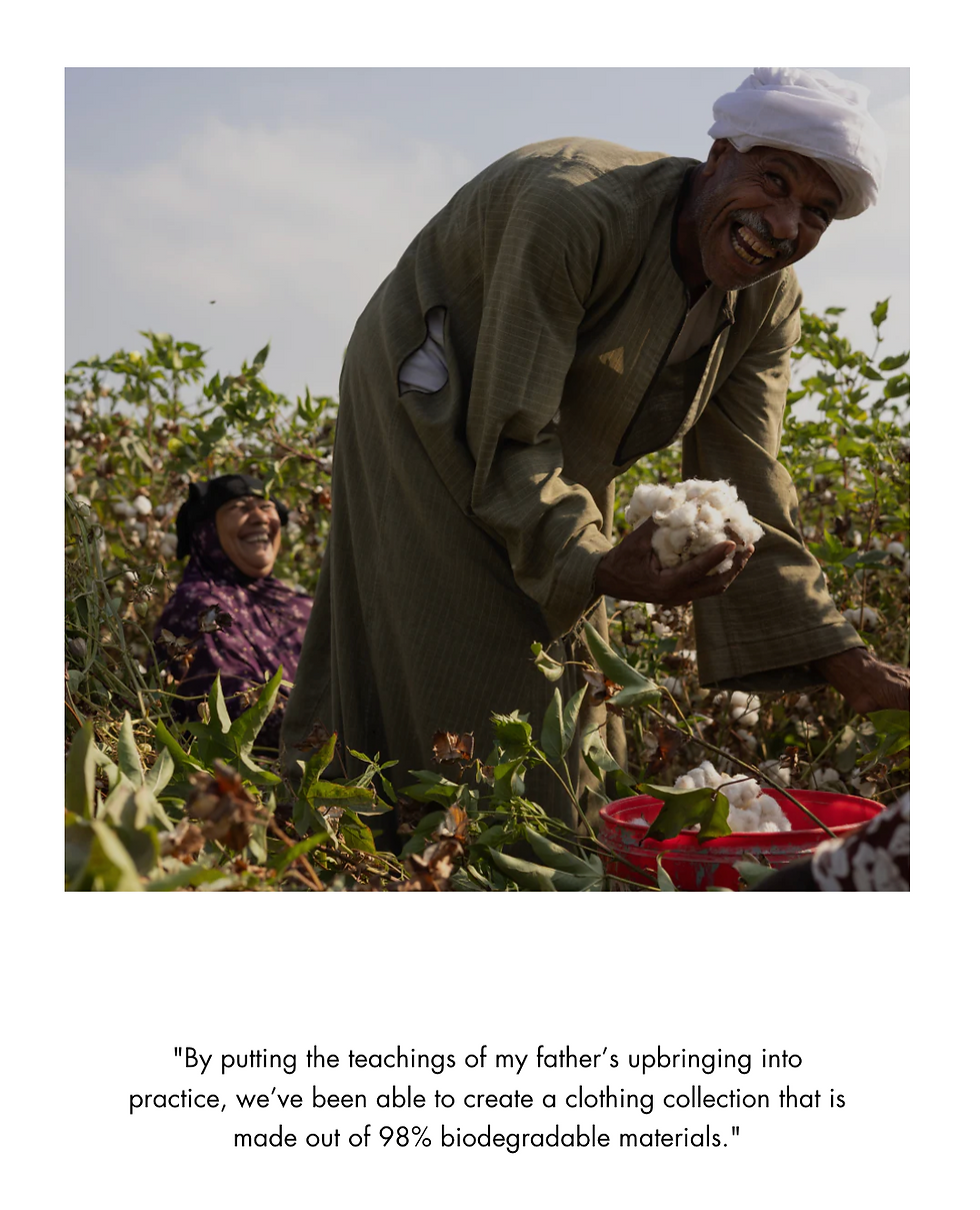 Egyptian cotton picker