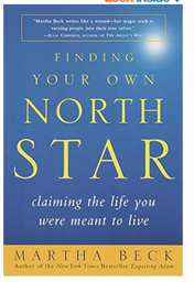 Finding Your Own North Star: Claiming the Life You Were Meant to Live