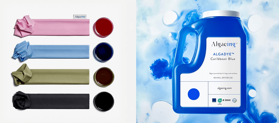 Pink, blue, green, black fabric strips beside red, blue, brown, black dyes on left. Blue bottle labeled "Algaeing ALGADYE Caribbean Blue" right.