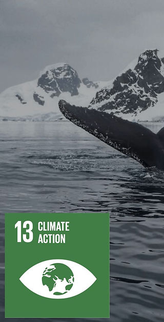 UNS Goal #13 Climate