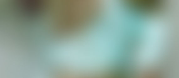 Ulla Johnson Dress 2026