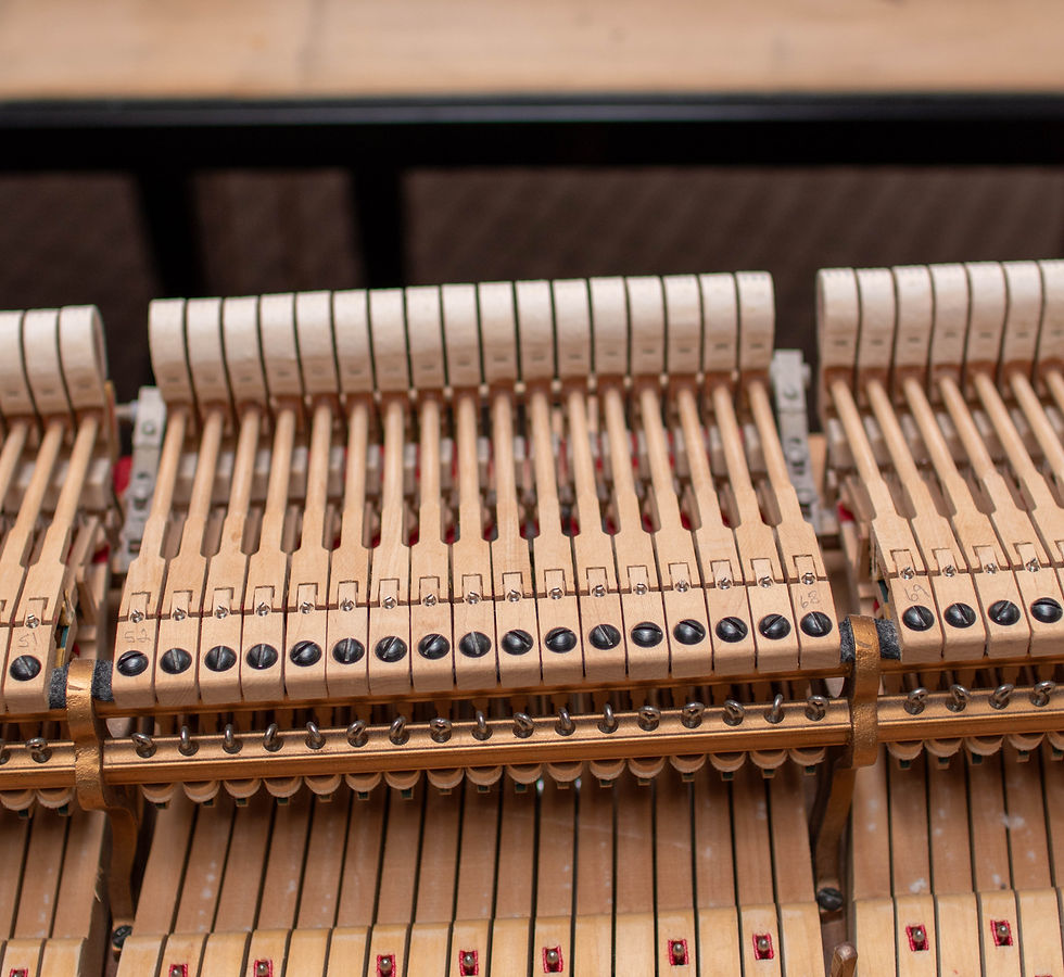 Thumbnail: Steinway Model B - NY 1997 Grand Piano