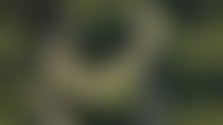 The Art of Now: Discovering Mindfulness