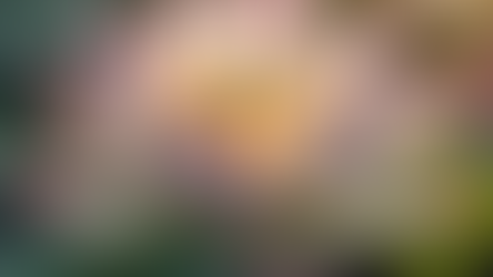 Embrace the Journey: Unlocking the Transformative Power of Personal Exploration