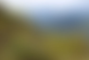 Jesus Before Religion