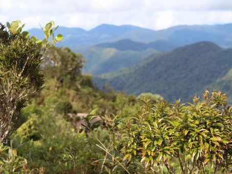 Jesus Before Religion