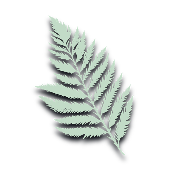 FernL1.png