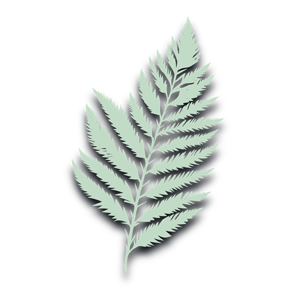 Fern R2 Redo.png