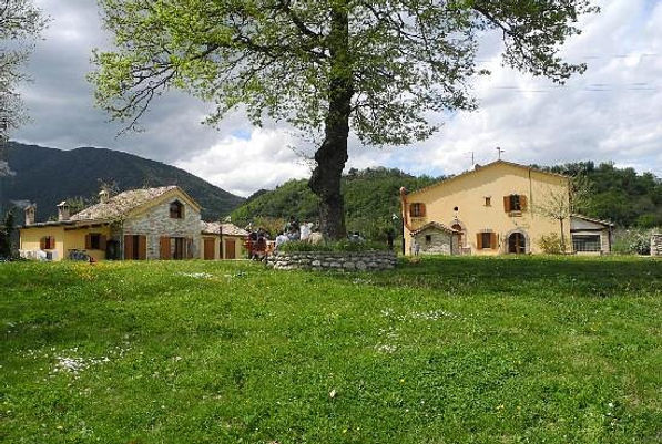 immagine delle proprietà